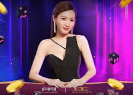 美女荷官发牌风采一览